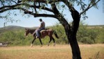 The Border Project: Wrangling the border
