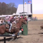 For rodeo-goers, New York remains a popular destination point