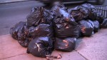 Trash diving for food is a Freegans life