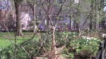 Spring in NYC: Union Square Park