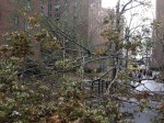 Sandy’s destruction in Stuy-town