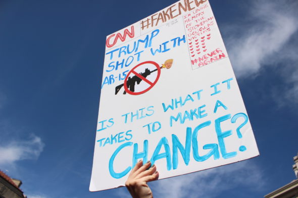 A protest sign at March for Our Lives in Washington, D.C.