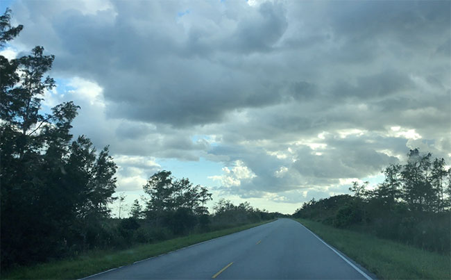 Florida Road