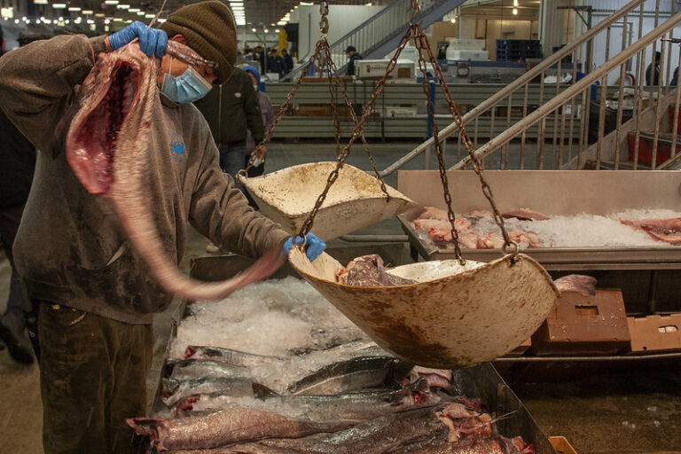 Bronx fish market struggles to stay afloat during pandemic - Pavement ...