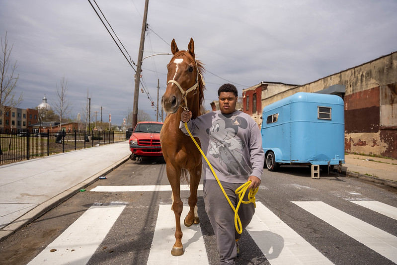 Image for Horses bring hope to North Philly youths